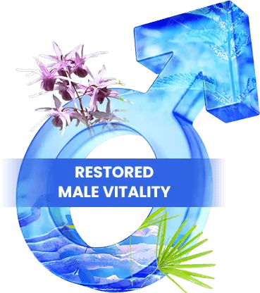 Restored Male Vitality - JellyFil